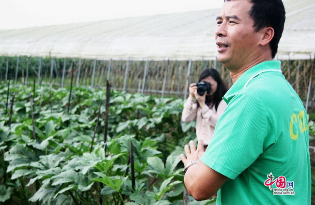 Les légumes chinois très prisés par les Congolais (7)