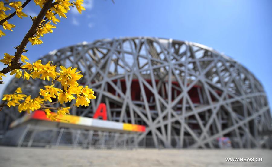 EN IMAGES: beaux paysages du printemps à Beijing