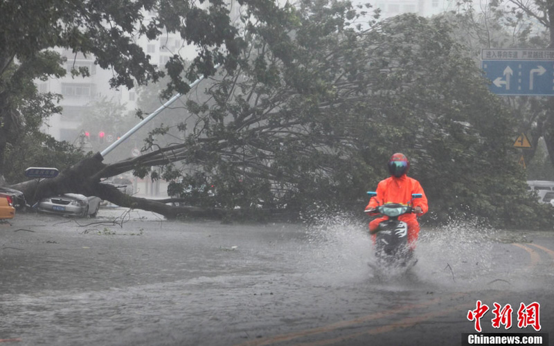 Chine : Sanya frappée par le typhon Haiyan (5)