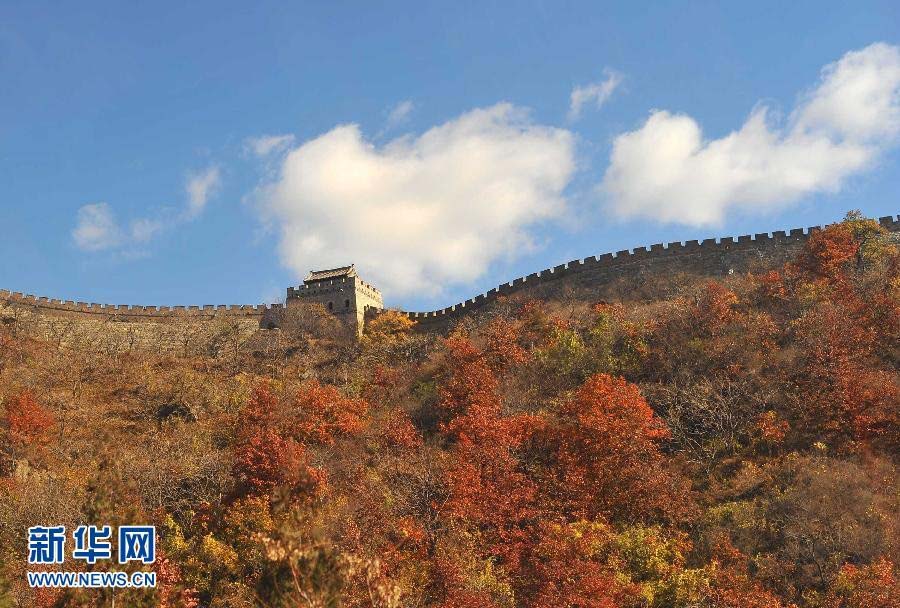 Apprécions les feuilles rouges à Mutianyu